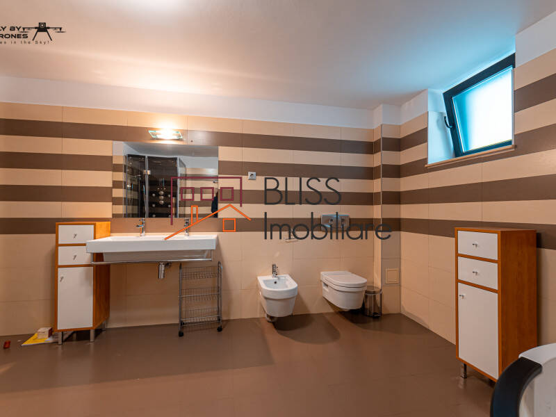 5 Bedrooms Villa, Around Herastrau Park, Bucharest | Bliss Imobiliare / Photo 49 - BLISS Imobiliare