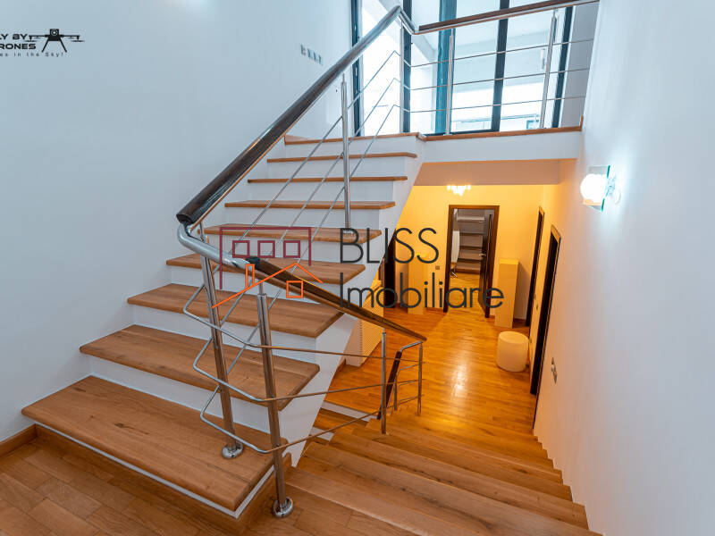 Vila Cu 7 Camere, Zona Herastrau | Bliss Imobiliare / Photo 51 - BLISS Imobiliare