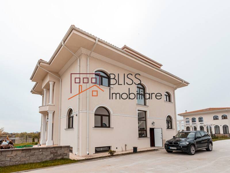 Spacious 4-Bedroom Villa With Private Courtyard, Bucharest | Bliss Imobiliare / Photo 44 - BLISS Imobiliare