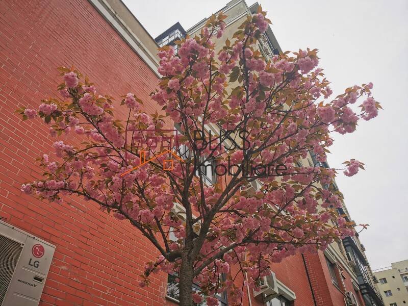 Photo 8 - BLISS Imobiliare