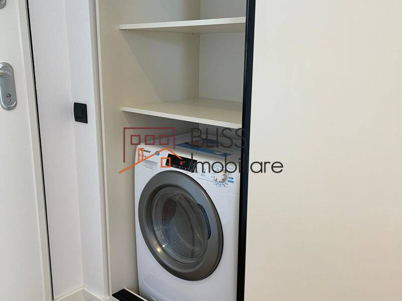 Furnished And Equipped 1 Bedroom Apartment Parc Herastrau, Bucharest | Bliss Imobiliare / Photo 16 - BLISS Imobiliare