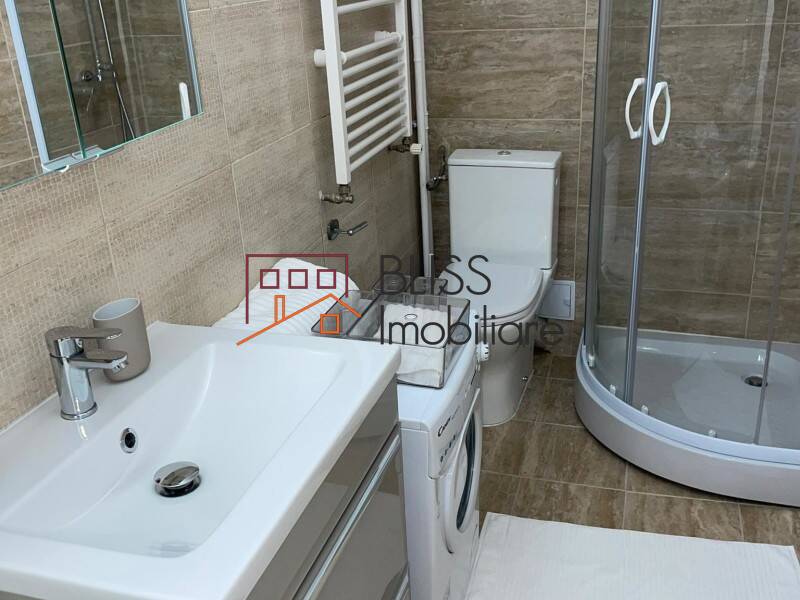 Modern Fully Furnished Studio Apartment Izvor Park, Bucharest | Bliss Imobiliare / Photo 23 - BLISS Imobiliare
