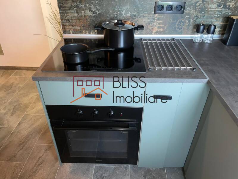 Modern Fully Furnished Studio Apartment Izvor Park, Bucharest | Bliss Imobiliare / Photo 13 - BLISS Imobiliare