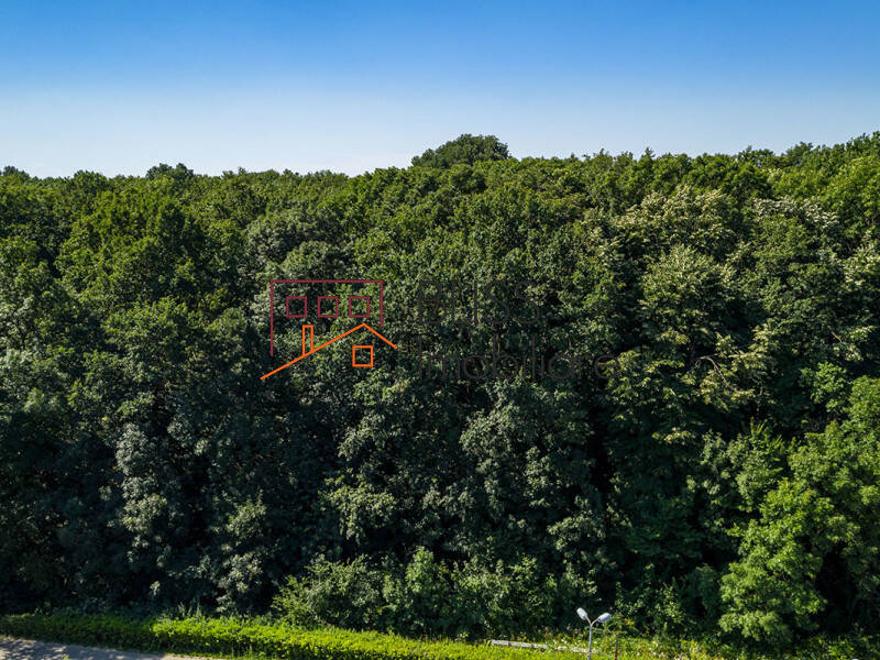 Photo 4 - BLISS Imobiliare