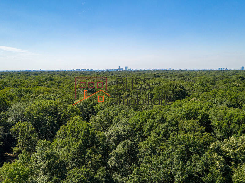 Photo 5 - BLISS Imobiliare