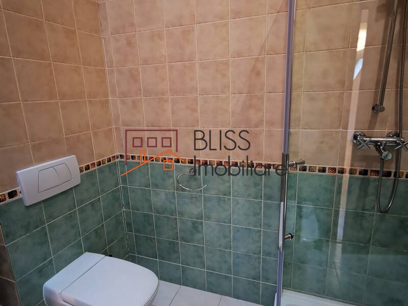 Vila Cu 7 Camere In Pipera | Bliss Imobiliare / Photo 45 - BLISS Imobiliare