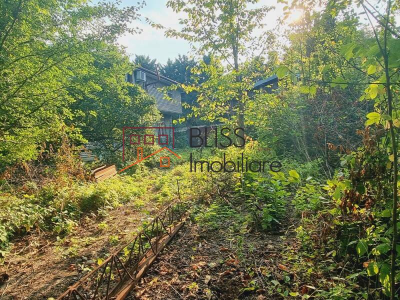 Photo 2 - BLISS Imobiliare