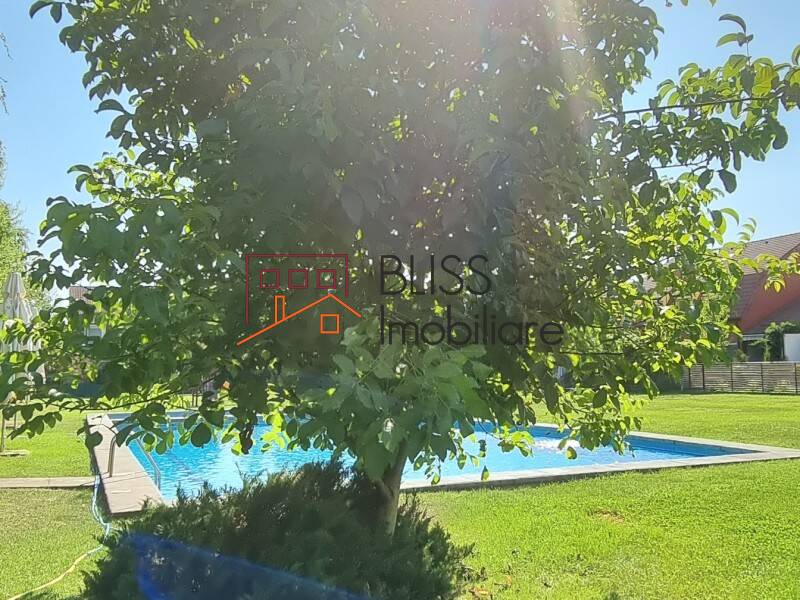 Photo 11 - BLISS Imobiliare