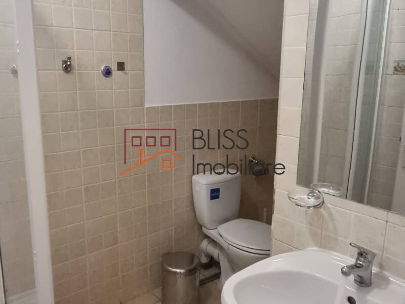 Vila Spatioasa Cu 6 Camere Si Gradina Superba Baneasa | Bliss Imobiliare / Photo 62 - BLISS Imobiliare