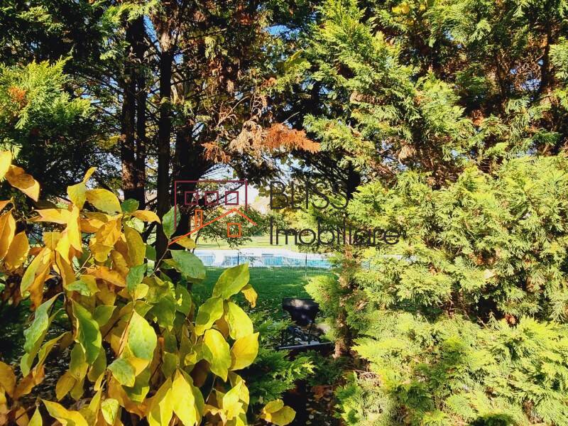 Vila Cu 7 Camere In Zona Pipera | Bliss Imobiliare / Photo 4 - BLISS Imobiliare