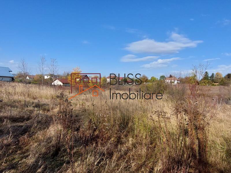 Photo 7 - BLISS Imobiliare