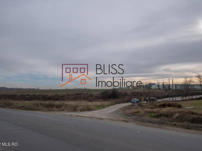 Photo 3 - BLISS Imobiliare