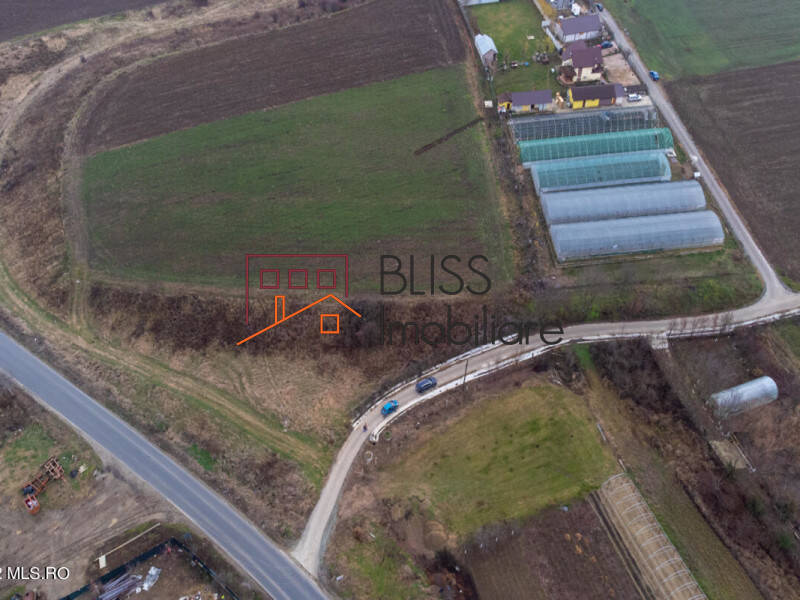 Photo 4 - BLISS Imobiliare