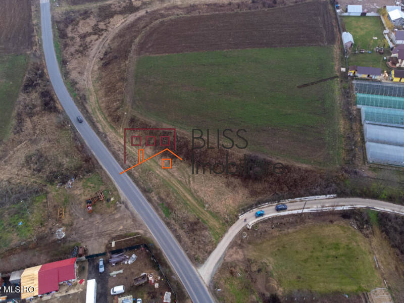 Photo 12 - BLISS Imobiliare