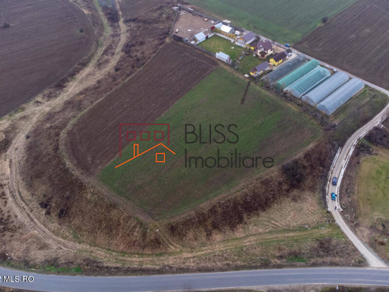 Photo 15 - BLISS Imobiliare