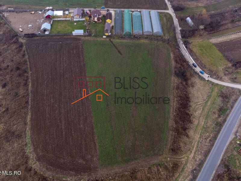 Photo 17 - BLISS Imobiliare