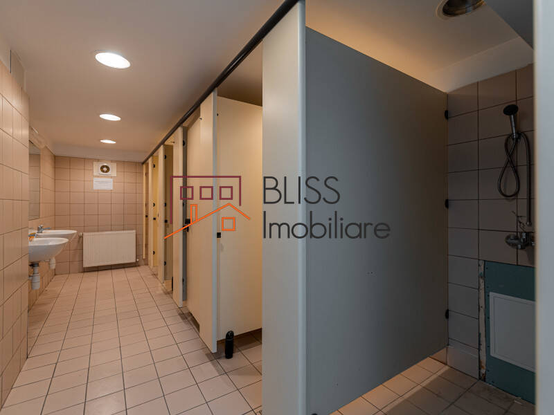Spatiu De Productie Cu Birouri In Militari | Bliss Imobiliare / Photo 33 - BLISS Imobiliare