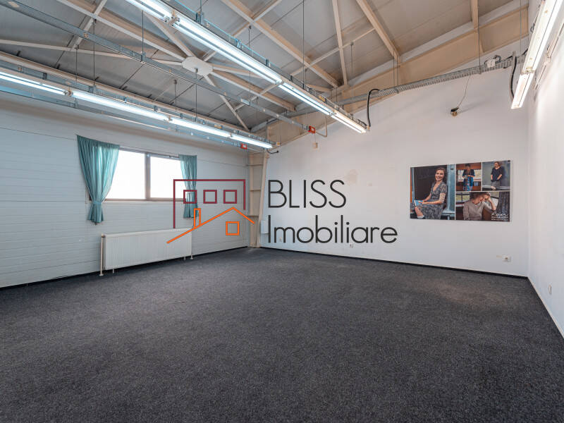 Production Facility With Offices Bucharest, Bucharest | Bliss Imobiliare / Photo 38 - BLISS Imobiliare