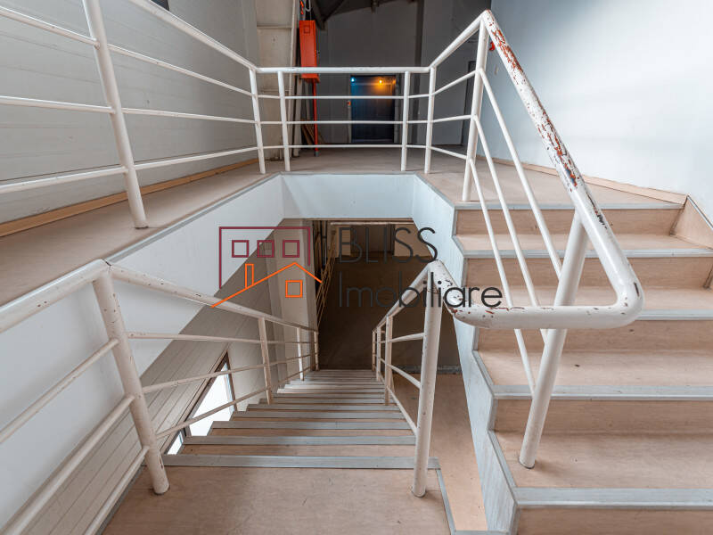 Spatiu De Productie Cu Birouri In Militari | Bliss Imobiliare / Photo 50 - BLISS Imobiliare
