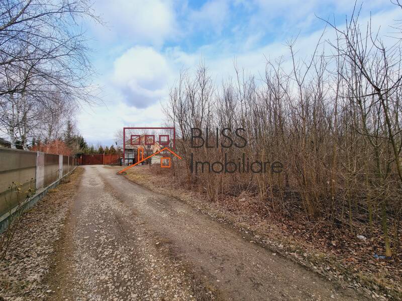 Photo 1 - BLISS Imobiliare