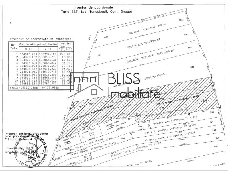 Photo 11 - BLISS Imobiliare