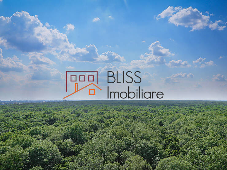 Photo 5 - BLISS Imobiliare