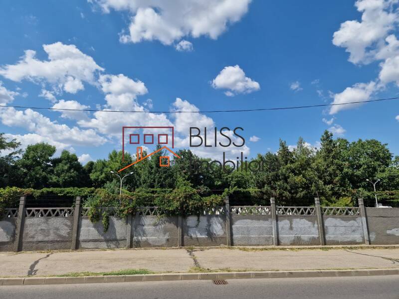 Photo 7 - BLISS Imobiliare