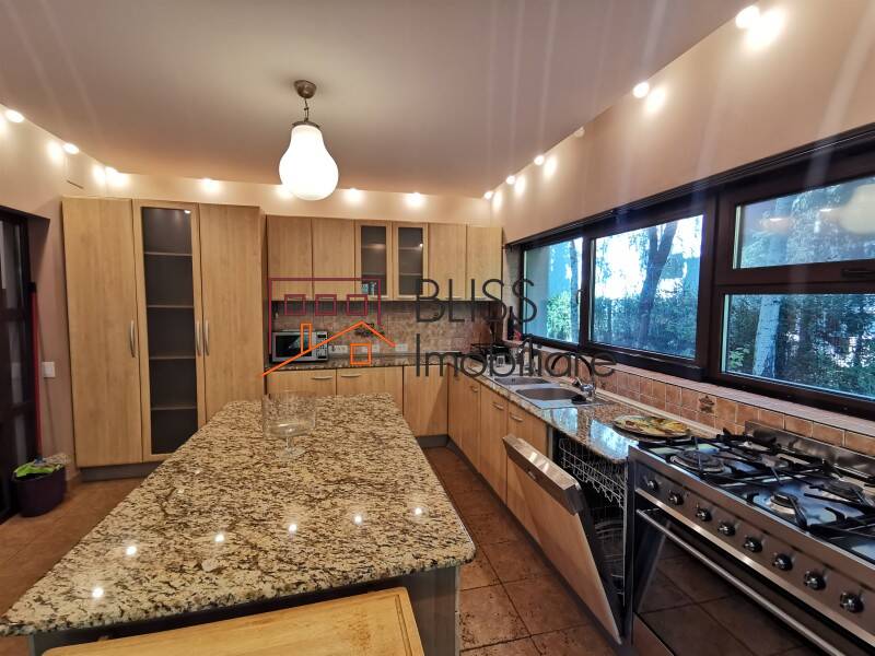 Vila 7 Camere Cu Gradina Iancu Nicolae | Bliss Imobiliare / Photo 11 - BLISS Imobiliare