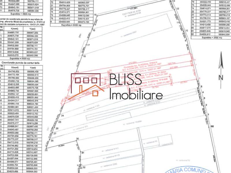 Photo 14 - BLISS Imobiliare