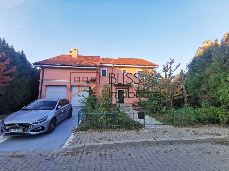 Vila 10 Camere In Iancu Nicolae | Bliss Imobiliare / Photo 1 - BLISS Imobiliare