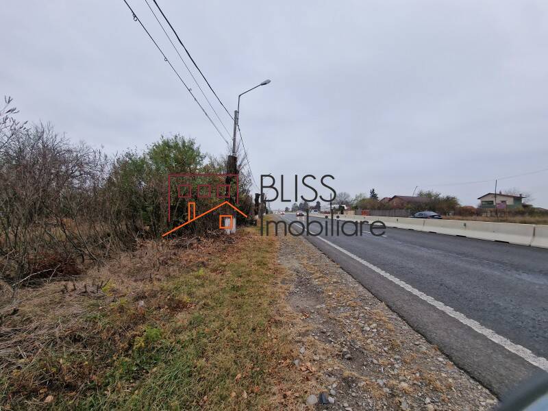 Photo 16 - BLISS Imobiliare