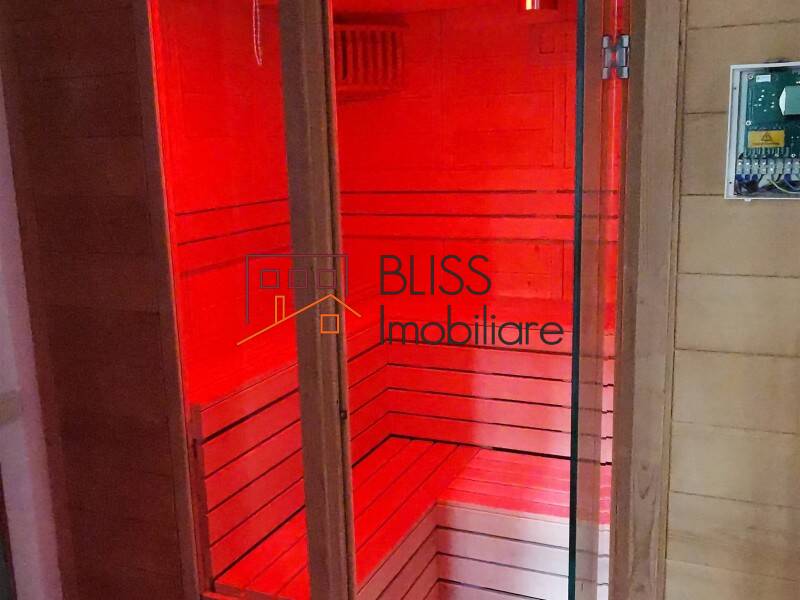 Duplex Penthouse 350 Sqm Herastrau – 4 Bedrooms, 5 Balconies, Bucharest | Bliss Imobiliare / Photo 22 - BLISS Imobiliare