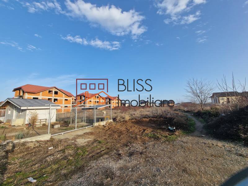 Photo 18 - BLISS Imobiliare