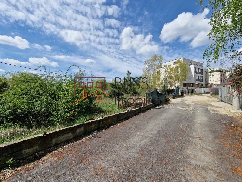 Photo 9 - BLISS Imobiliare