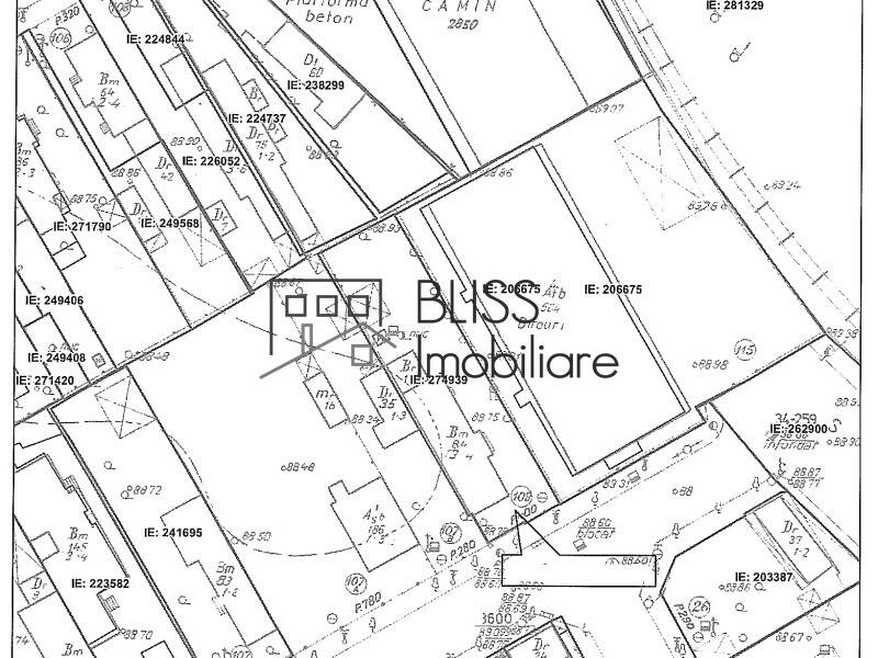 Photo 9 - BLISS Imobiliare