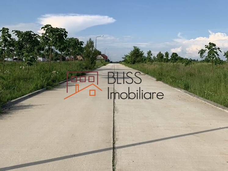 Photo 5 - BLISS Imobiliare