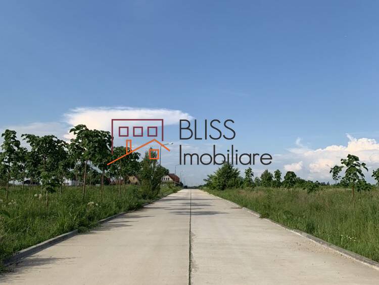 Photo 6 - BLISS Imobiliare