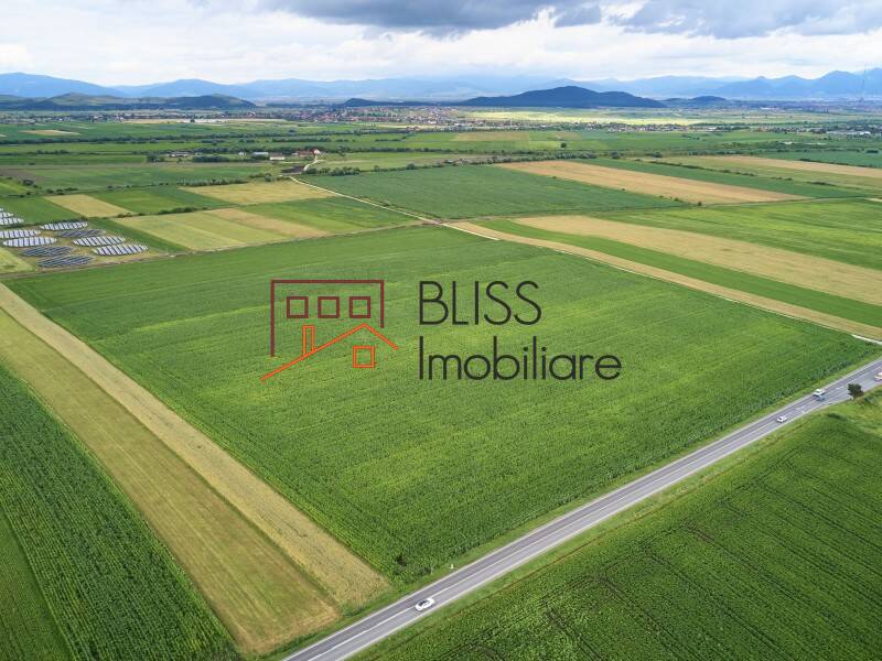 Photo 1 - BLISS Imobiliare