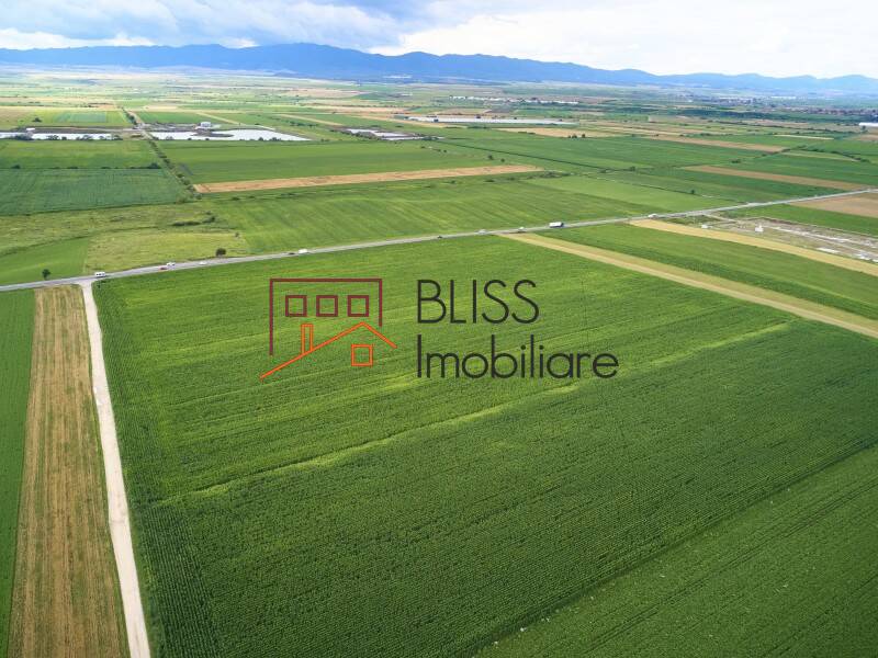 Photo 2 - BLISS Imobiliare