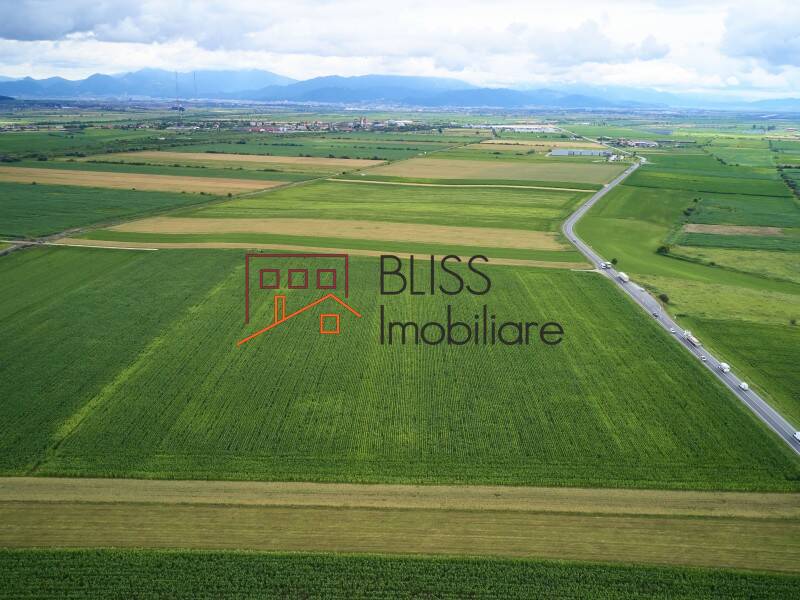 Photo 4 - BLISS Imobiliare