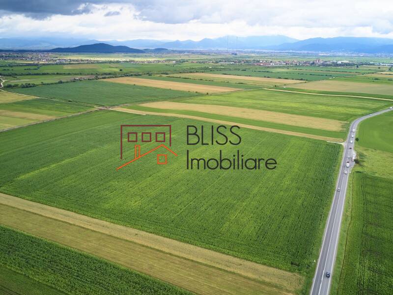 Photo 5 - BLISS Imobiliare