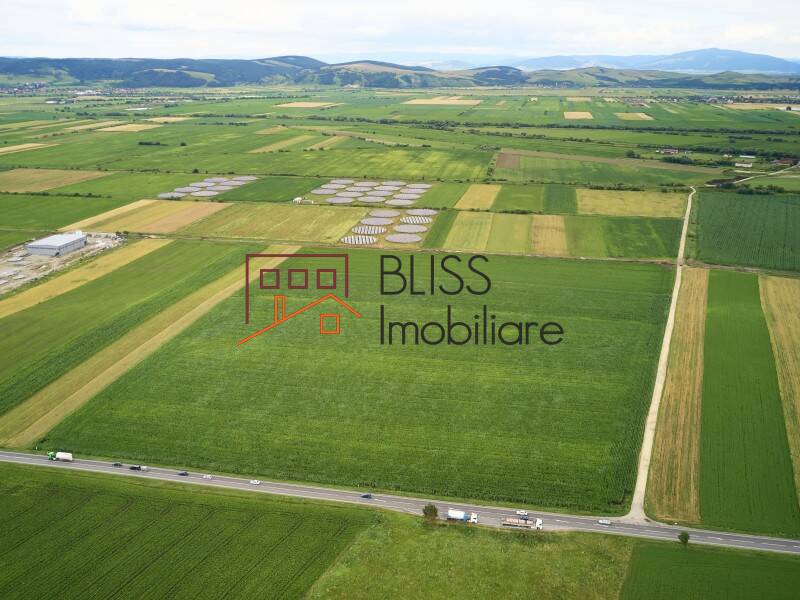 Photo 15 - BLISS Imobiliare