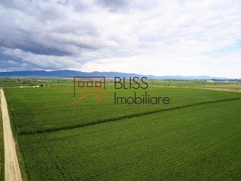 Photo 19 - BLISS Imobiliare
