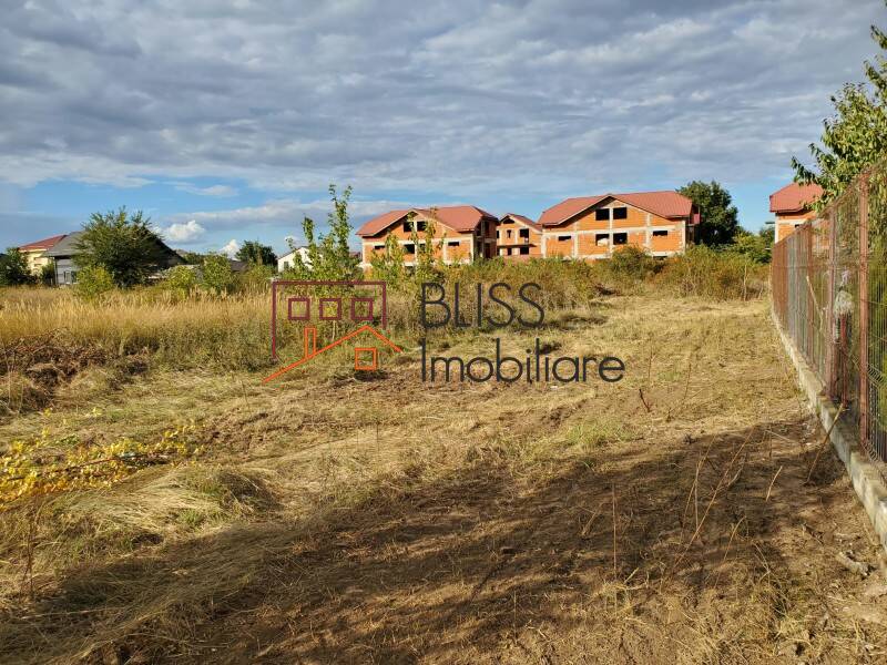 Photo 10 - BLISS Imobiliare