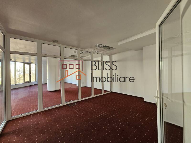 spațiu de birouri de Inchiriat Piata Victoriei - 3 Camere - ID:119953 | Bliss Imobiliare / Photo 8 - BLISS Imobiliare