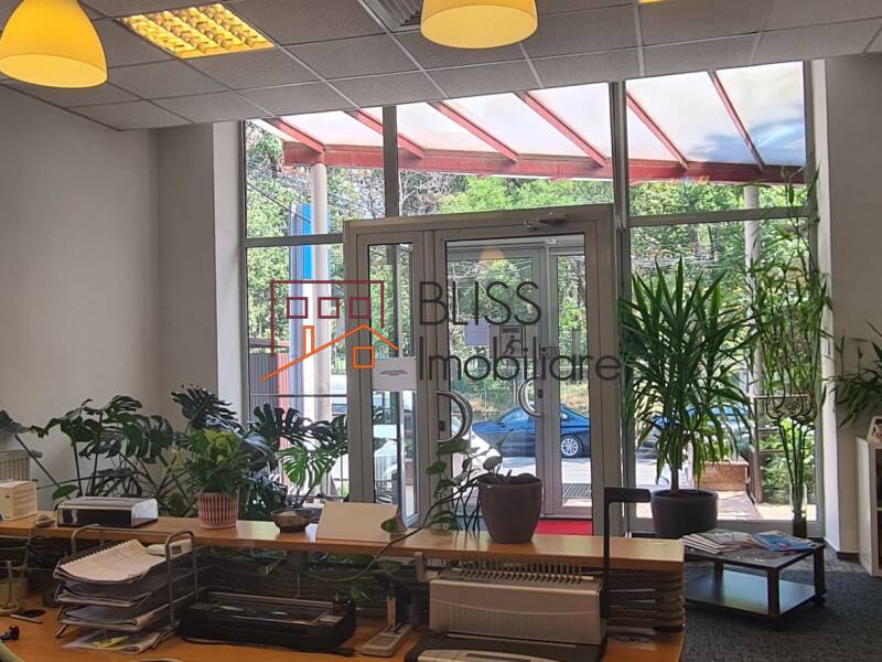 Office space for Rent Domenii | 1 Mai | Grivitei, Bucharest - ID:120073 | Bliss Imobiliare / Photo 7 - BLISS Imobiliare