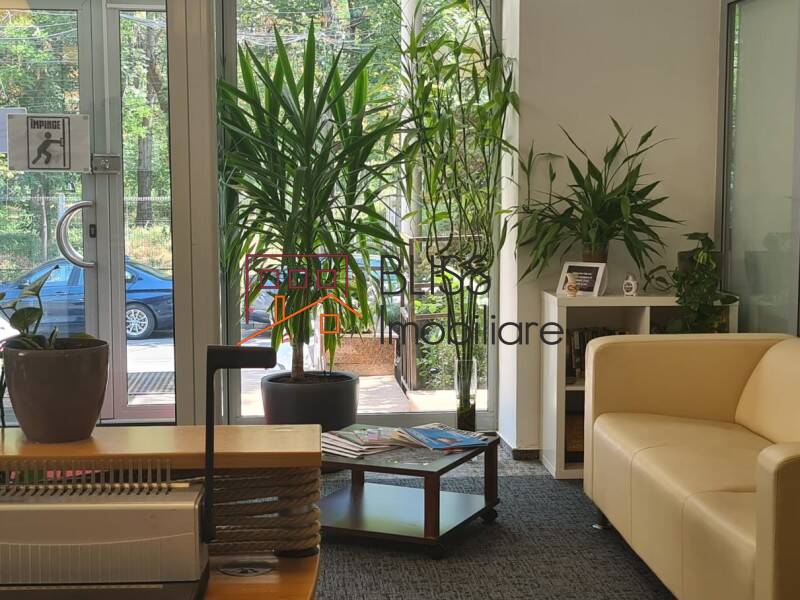 spațiu de birouri de Inchiriat Domenii | 1 Mai | Grivitei - ID:120074 | Bliss Imobiliare / Photo 6 - BLISS Imobiliare