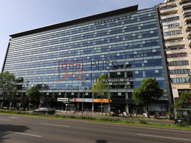 spațiu de birouri de Inchiriat Piata Victoriei - ID:120660 | Bliss Imobiliare / Photo 4 - BLISS Imobiliare