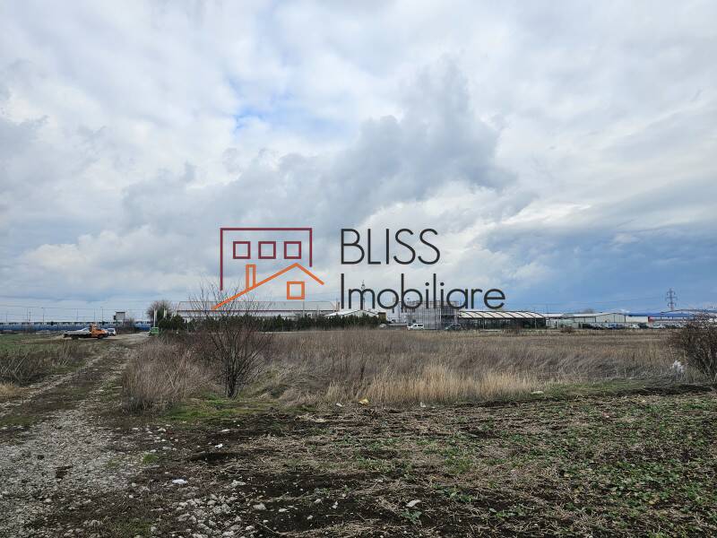 Photo 1 - BLISS Imobiliare