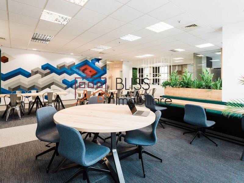 Private Office Space, Bucharest | Bliss Imobiliare / Photo 4 - BLISS Imobiliare